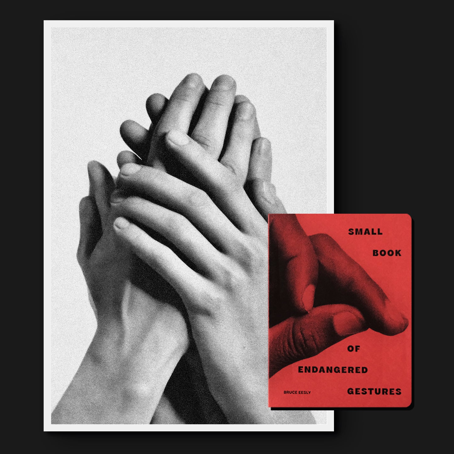 Small Book of Endangered Gestures + A4 Risoprint