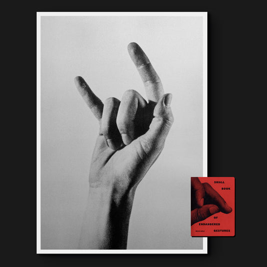 Small Book of Endangered Gestures + A2 Risoprint (signed)