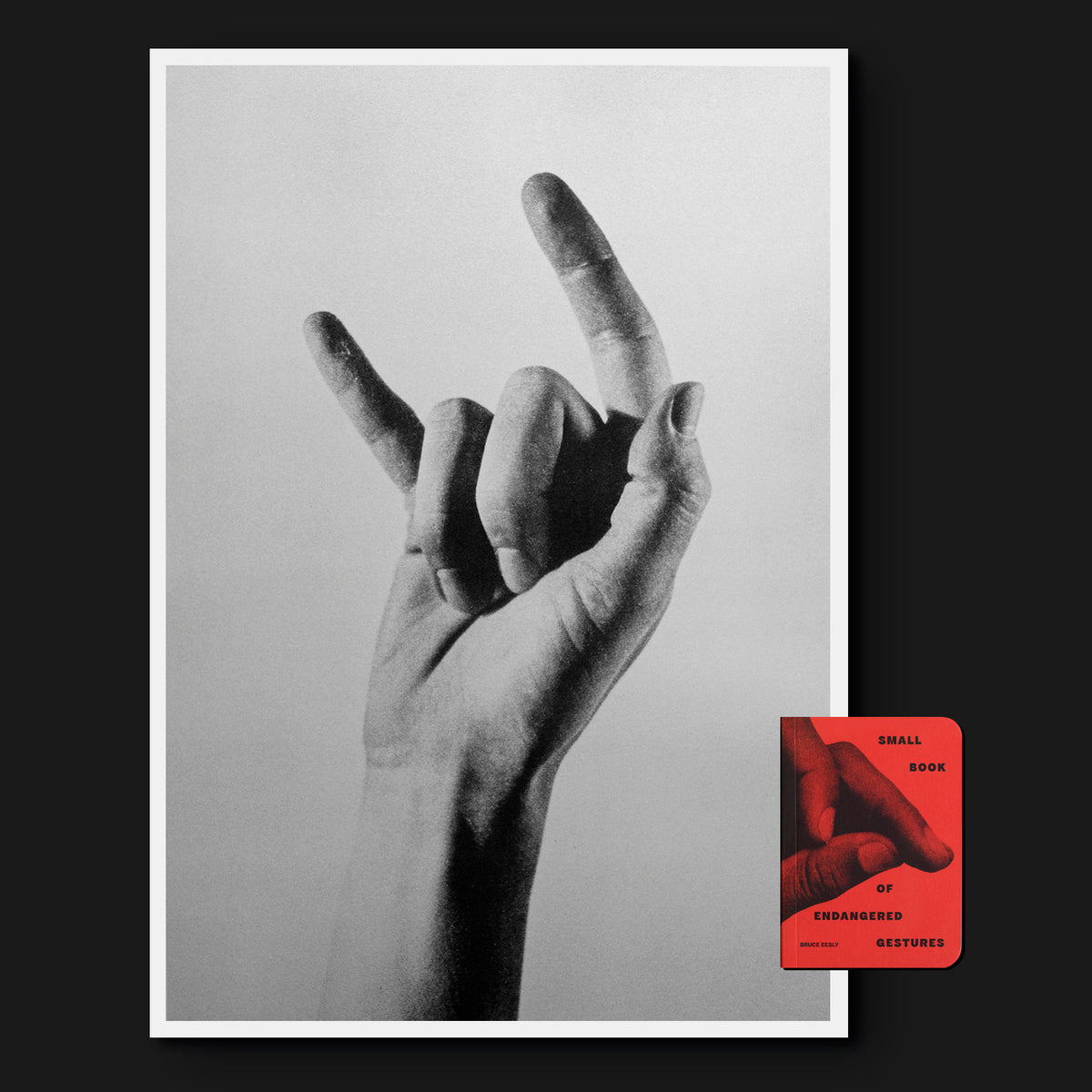 Small Book of Endangered Gestures + A2 Risoprint (signed)