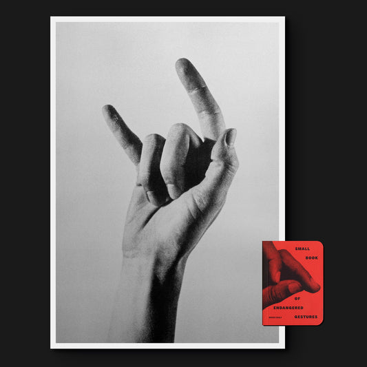 Small Book of Endangered Gestures + A2 Risoprint (signed)