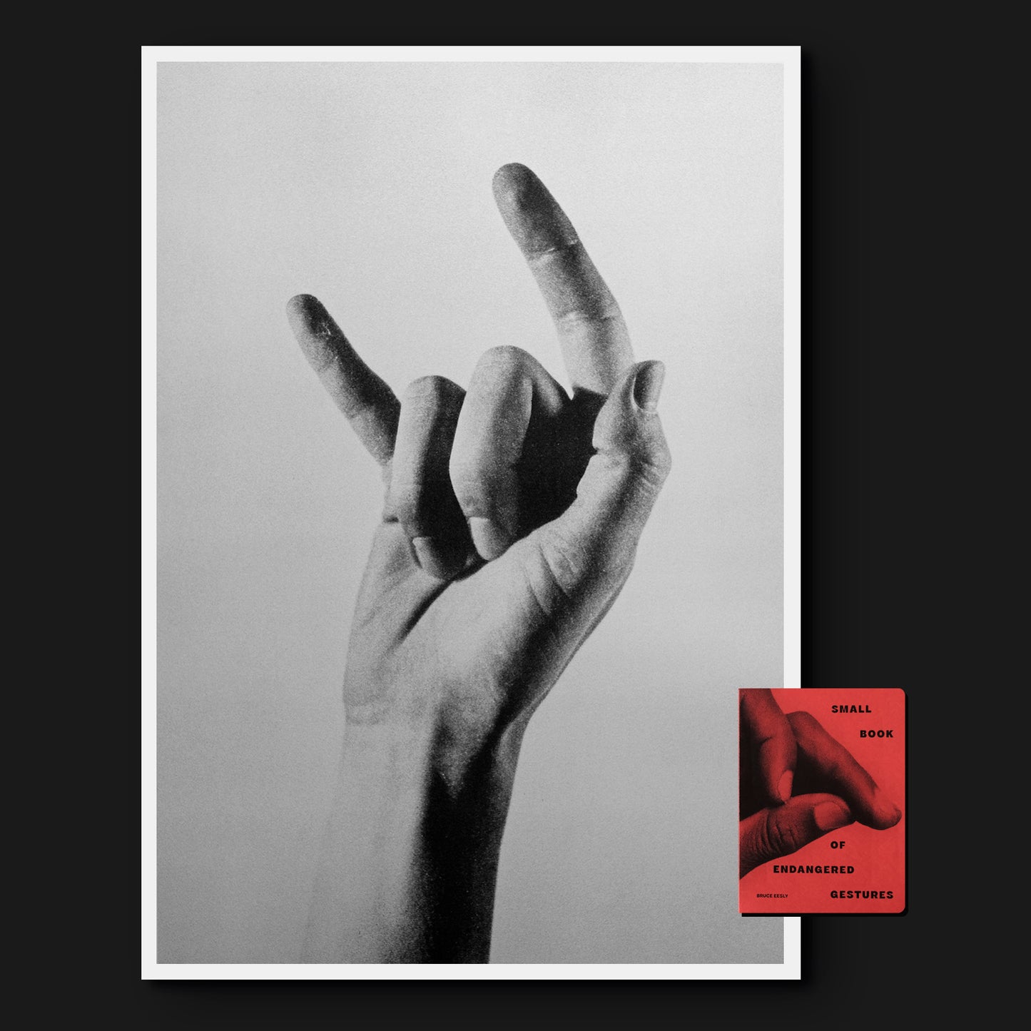 Small Book of Endangered Gestures + A2 Risoprint (signed)
