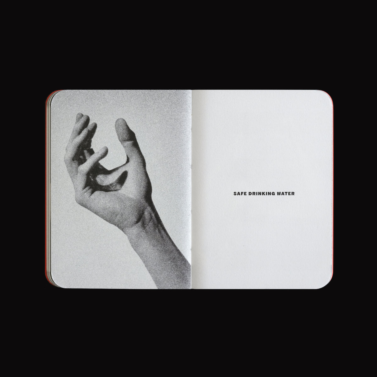 Small Book of Endangered Gestures