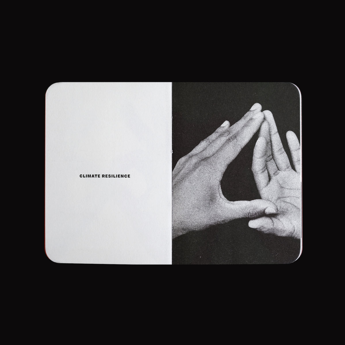 Small Book of Endangered Gestures