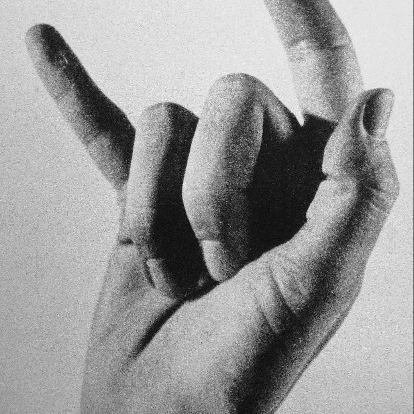 Endangered Gesture #20 (Queer) (A2 Risoprint)